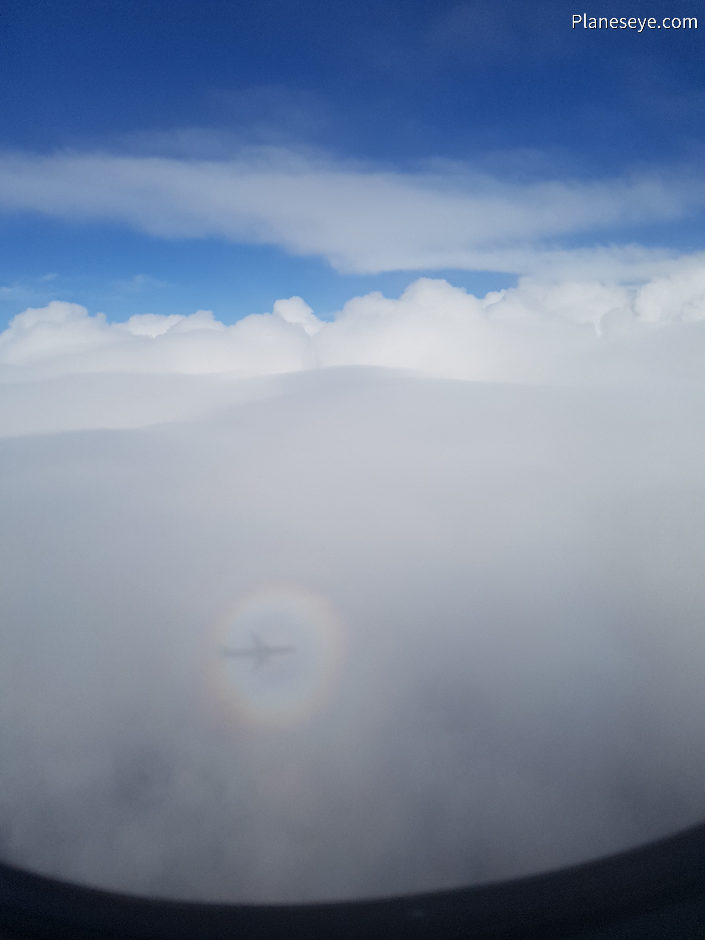 Plane's shadow on the clouds with halo